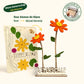 Happy Blooms - Duo 'Beterschap'