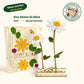 Happy Blooms - Duo 'Hart onder de riem'