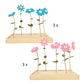 Boeketcadeau - bloemen (6 stk)