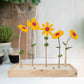 Boeketcadeau - bloemen (6 stk)
