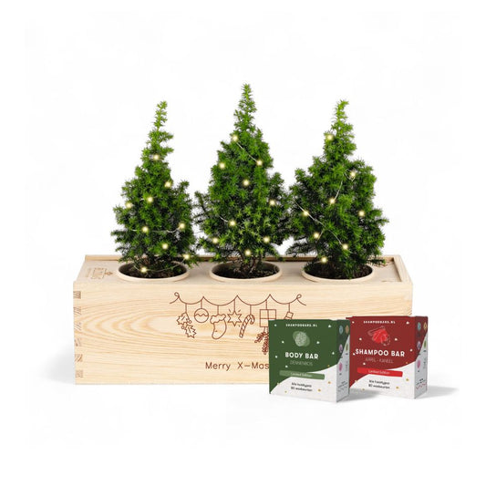 Xmas 'Winter wellness' - L