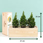 Xmas 'Forest fresh' - L