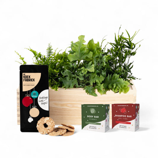 Nature 'Beyond the Box' - L