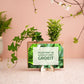 Nature out of the Box - Mini
