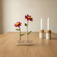 Happy Blooms - Duo 'Hart onder de riem'