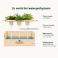 Happy Herbals  - Mojito