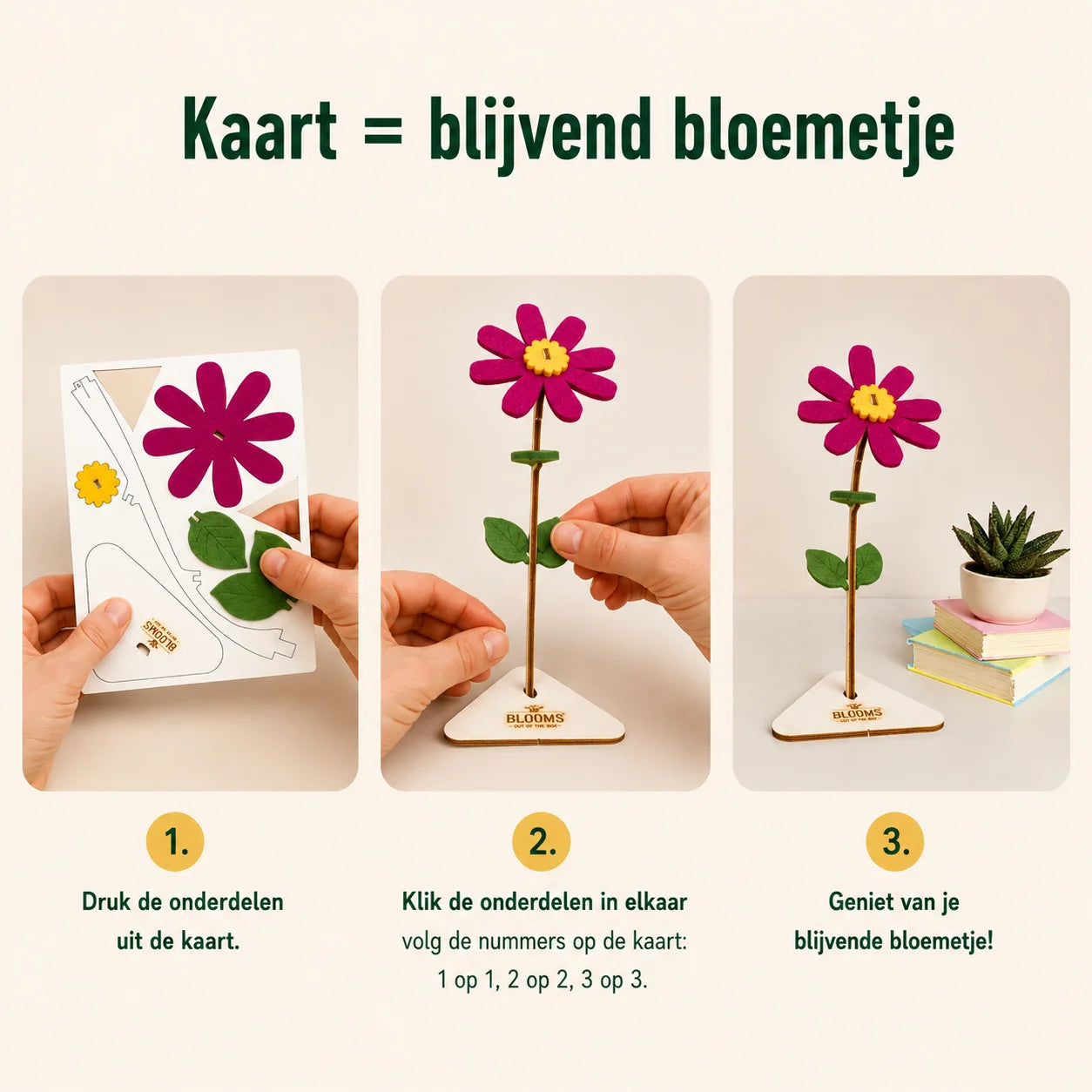 Bloemenpost- One (12 stk)