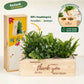 BloomsBox 'Bedankt' - L - Blooms out of the Box