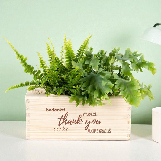 BloomsBox 'Bedankt' - M - duurzaam bloem- & plantcadeau | Blooms out of the Box