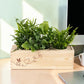 BloomsBox 'Denk aan je' - L - duurzaam bloem- & plantcadeau | Blooms out of the Box