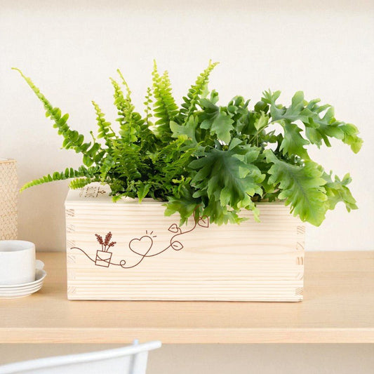 BloomsBox 'Denk aan je' - M - duurzaam bloem- & plantcadeau | Blooms out of the Box