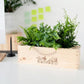 Houten plantenbox met luchtzuiverende planten, sfeerfoto, BloomsBox 'Gefeliciteerd' L
