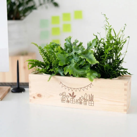 BloomsBox 'Gefeliciteerd' - L - duurzaam bloem- & plantcadeau | Blooms out of the Box