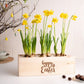 BloomsBox 'Happy Easter' - L - duurzaam bloem- & plantcadeau | Blooms out of the Box