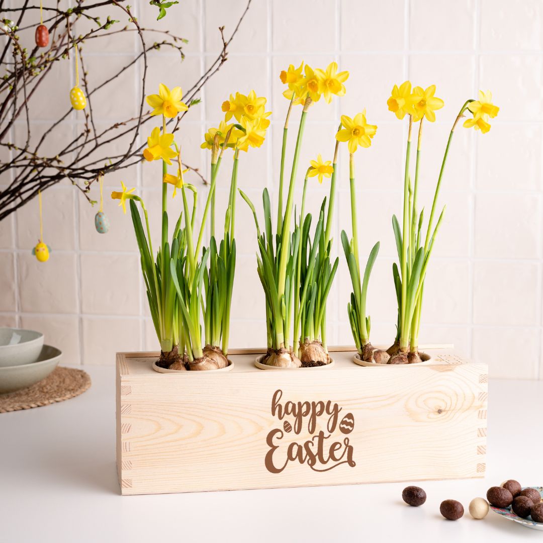 BloomsBox 'Happy Easter' - L - duurzaam bloem- & plantcadeau | Blooms out of the Box