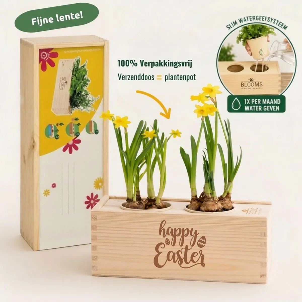 BloomsBox 'Happy Easter' - M - duurzaam bloem- & plantcadeau | Blooms out of the Box