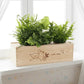 BloomsBox 'Hello Baby' - L - duurzaam bloem- & plantcadeau | Blooms out of the Box