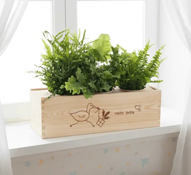 BloomsBox 'Hello Baby' - L - duurzaam bloem- & plantcadeau | Blooms out of the Box