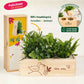 BloomsBox 'Hello Baby' - M - Blooms out of the Box