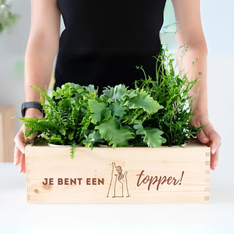 BloomsBox 'Je bent een topper' - L - Blooms out of the Box