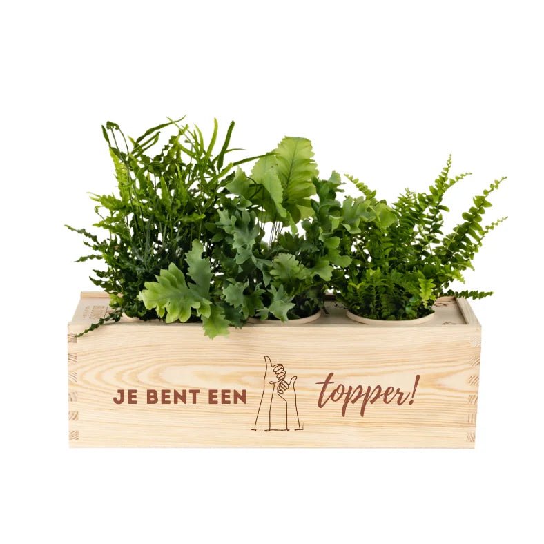 BloomsBox 'Je bent een topper' - L - Blooms out of the Box