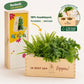 BloomsBox 'Je bent een topper' - L - Blooms out of the Box