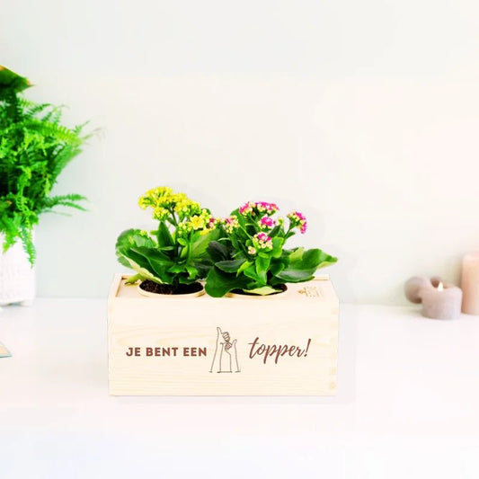 BloomsBox 'Je bent een topper!' - M - Blooms out of the Box