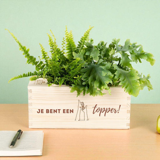 BloomsBox 'Je bent een topper!' - M - Blooms out of the Box