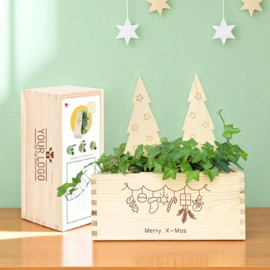 BloomsBox 'Merry Xmas' - houten kerstboompjes - duurzaam bloem- & plantcadeau | Blooms out of the Box