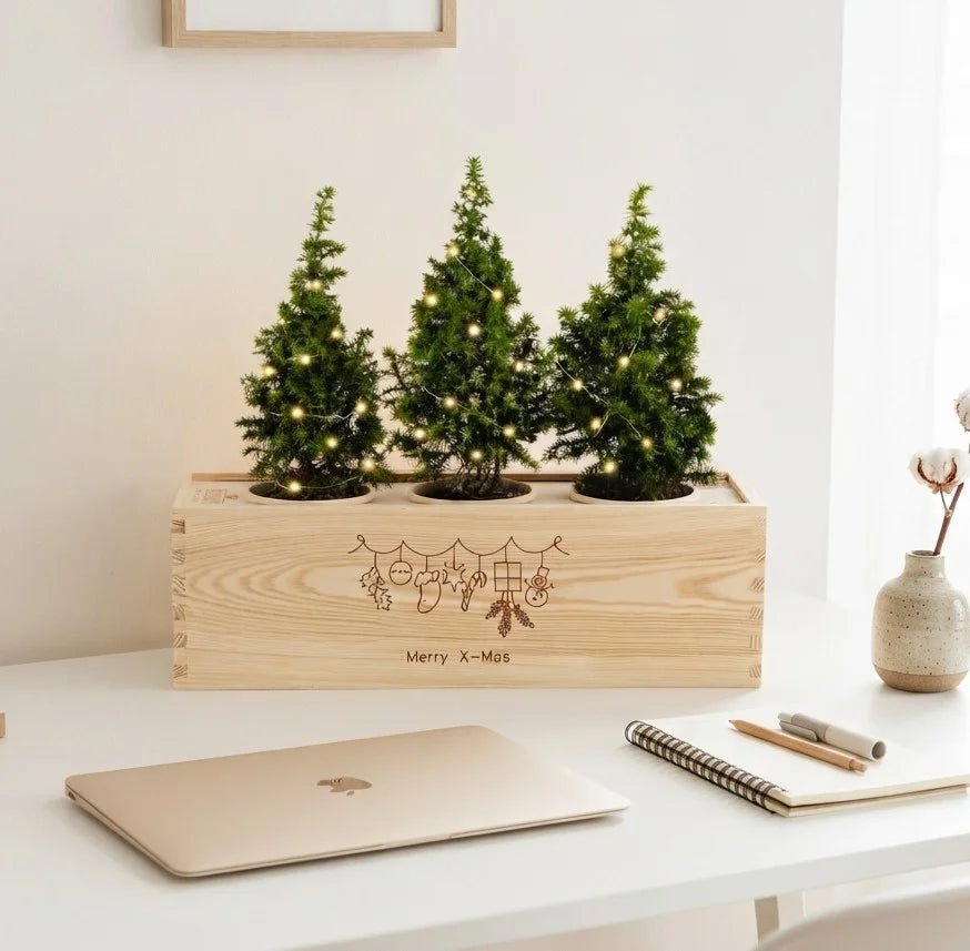 BloomsBox 'Merry Xmas' - Verlichte kerstboompjes - duurzaam bloem- & plantcadeau | Blooms out of the Box
