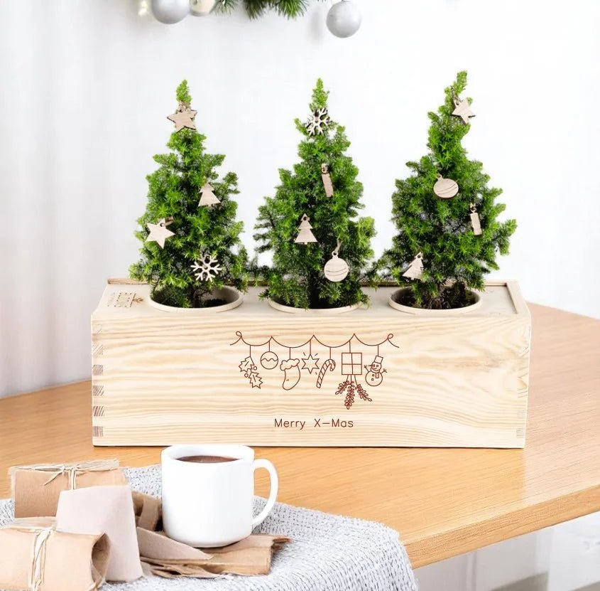 BloomsBox 'Merry Xmas' - versierde kerstboompjes - duurzaam bloem- & plantcadeau | Blooms out of the Box