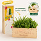 BloomsBox 'Skyline Groningen' - M - duurzaam bloem- & plantcadeau | Blooms out of the Box