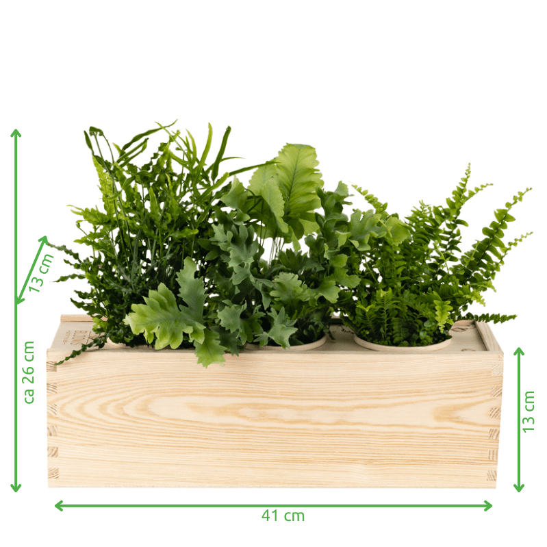 BloomsBox 'Skyline Utrecht' - L - Blooms out of the Box