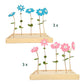 Boeketcadeau - bloemen (6 stk) - duurzaam bloem- & plantcadeau | Blooms out of the Box