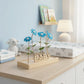 Boeketcadeau - wensbordjes NL (6 stk) - duurzaam bloem- & plantcadeau | Blooms out of the Box
