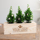 Ervaar zelf: kerst relatiegeschenk met jouw logo! - Blooms out of the Box