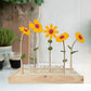 Happy Blooms 'Dat verdient een bloemetje' - Blooms out of the Box