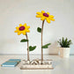 Happy Blooms - Duo 'Hart onder de riem' - duurzaam bloem- & plantcadeau | Blooms out of the Box