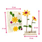 Happy Blooms - Duo - Blooms out of the Box