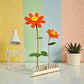 Happy Blooms - Duo - Blooms out of the Box