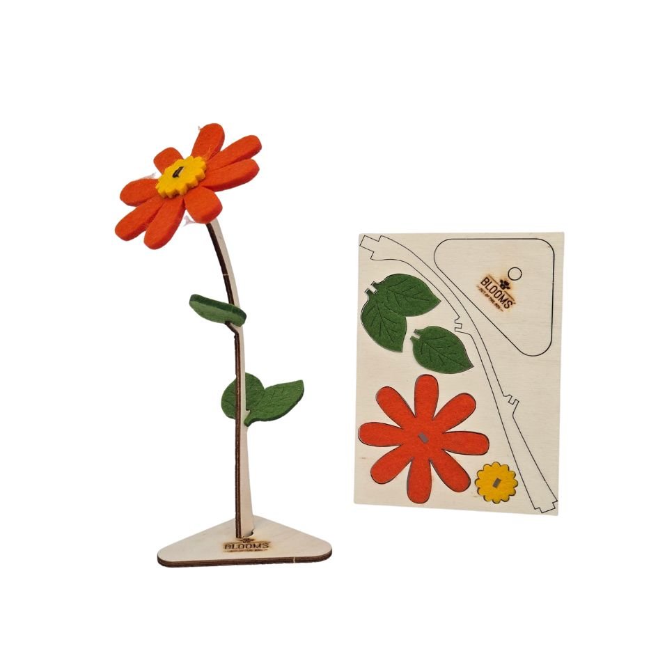 Happy Blooms - One & Only - Blooms out of the Box