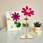 Happy Blooms - One & only - Blooms out of the Box