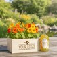 Happy Herbals - Citrus Spritz 'your logo' - Blooms out of the Box