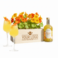 Happy Herbals - Citrus Spritz 'your logo' - Blooms out of the Box