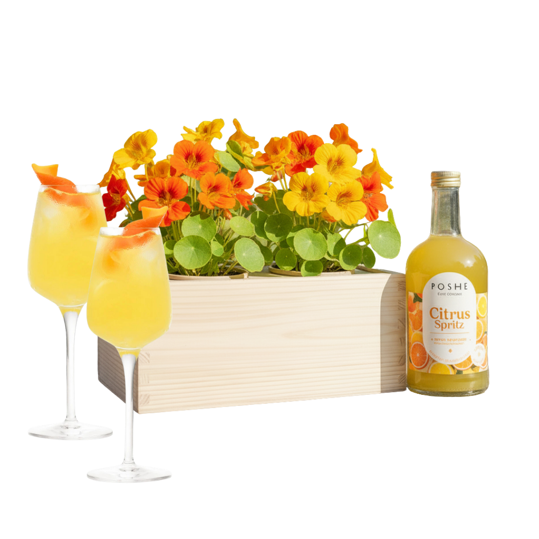 Happy Herbals - Citrus Spritz - Blooms out of the Box
