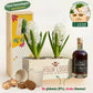 Happy Herbals - Glühwein 'your logo' - duurzaam bloem- & plantcadeau | Blooms out of the Box