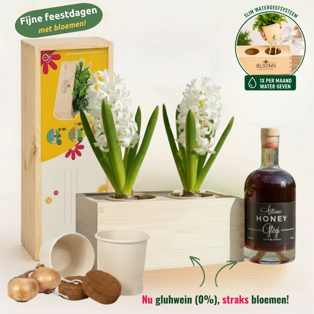 Happy Herbals - Glühwein - duurzaam bloem- & plantcadeau | Blooms out of the Box