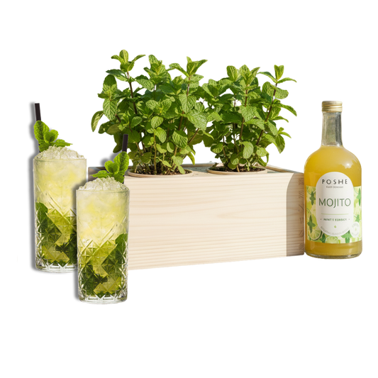 Happy Herbals - Mojito - Blooms out of the Box