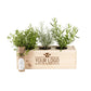 Herbs 'Italian flavours' - L (vanaf 25) - Blooms out of the Box