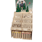 Kerstcadeau - Fotobord - duurzaam bloem- & plantcadeau | Bloomsoutofthebox